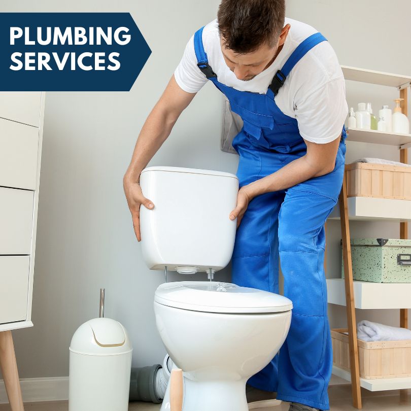 Plumbing Company in Golf, IL